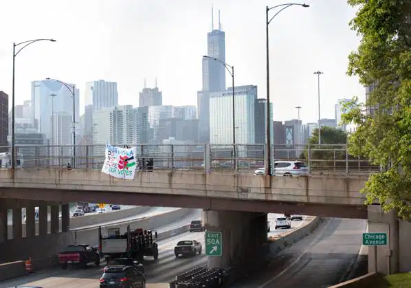 Activist Action Series! How to Drop a Banner to get your message to the masses